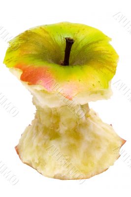 Apple Core w/ Path - Top View