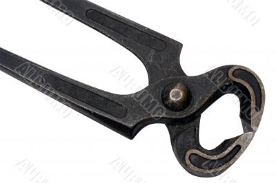 Black Pincer w/ Path