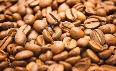 Textures &ndash; Coffee Beans - Close Front View