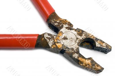 Corroded Pliers
