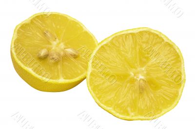 Lemon Slices w/ Path