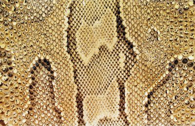 Textures &ndash; Snakeskin 3