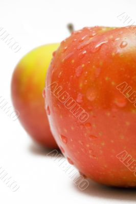 Two Red-Yellow Apples w/ Raindrops - Close View