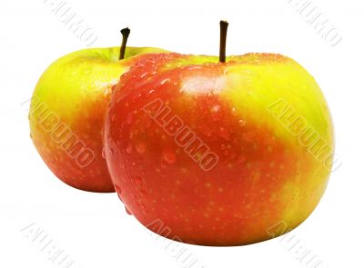 Two Red-Yellow Apples w/ Raindrops - Path Included