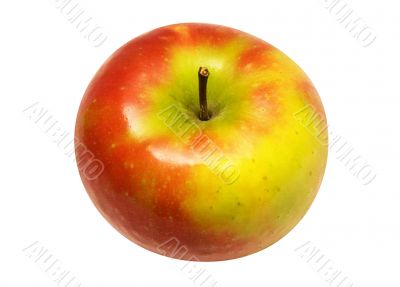 Red Yellow Apple w/ Path - Angle View