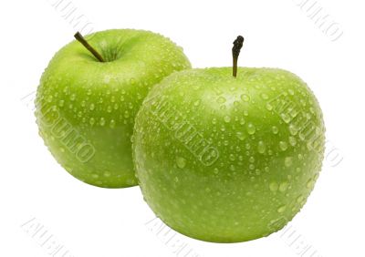 Two Apples w/ Path