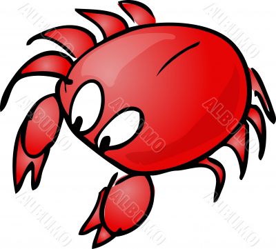 Clam Illustration