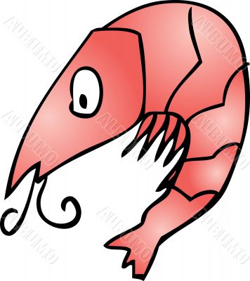 Cute shrimp