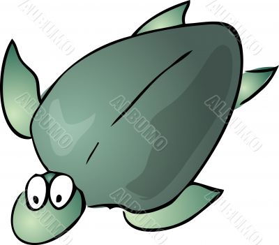 Cute turtle