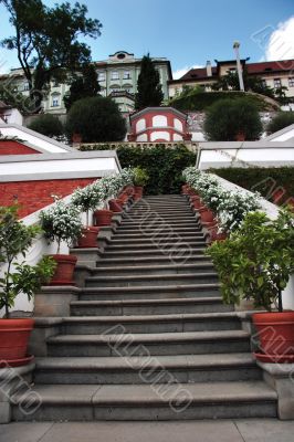 Steps leading up with potted plants