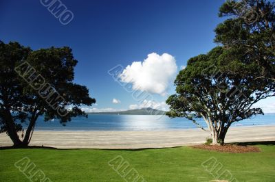 Rangitoto through the trees