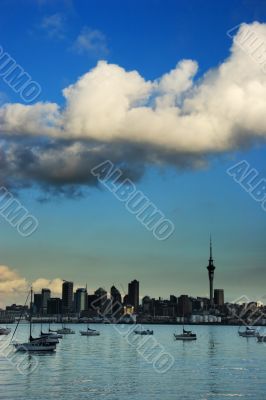 Auckland Skyline