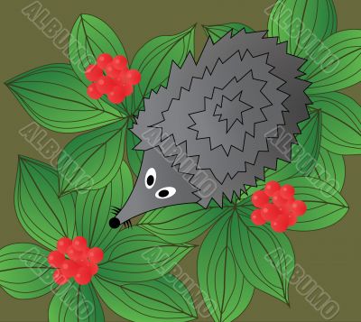 Hedgehog Hedgehog