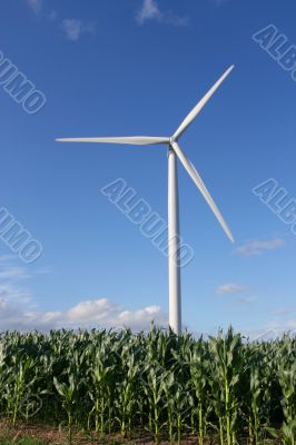 Wind turbine in a field Wind turbine in a field