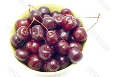 cherry in cup
