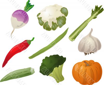 Vegetables illustration
