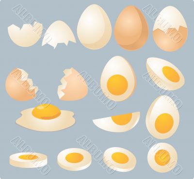 Eggs illustration