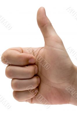 Thumbs Up w/ Path