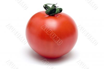 Single Cherry Tomato