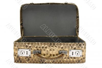 Snakeskin Bag w/ Path Snakeskin Bag w/ Path
