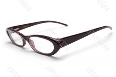 Stylish Eyeglasses