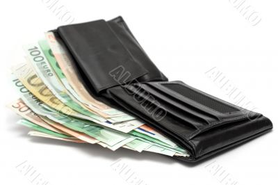Wallet w/ Banknotes