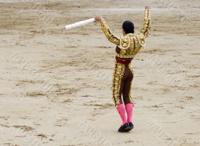 Banderillero