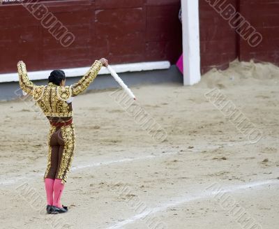 Banderillero Preparing to Strike