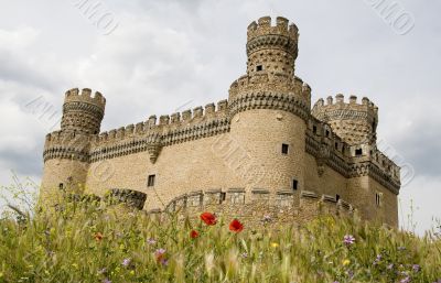 Manzanares El Real and Flowers
