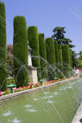 Palace Gardens
