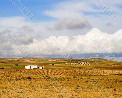 Castilla La Mancha
