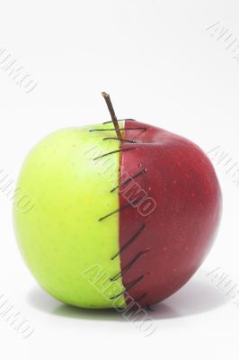 Stitched Apple