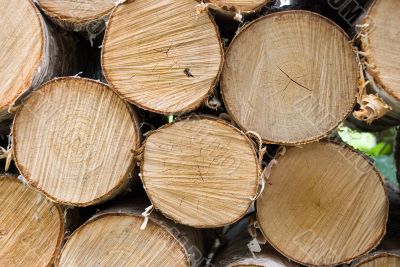 Birch fire wood Birch fire wood