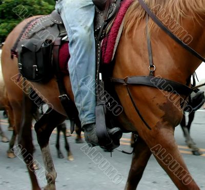 cowboy on horseback