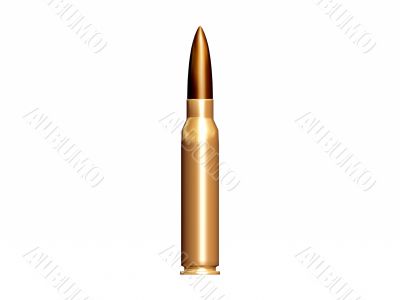 Shotgun ammo Shotgun ammo