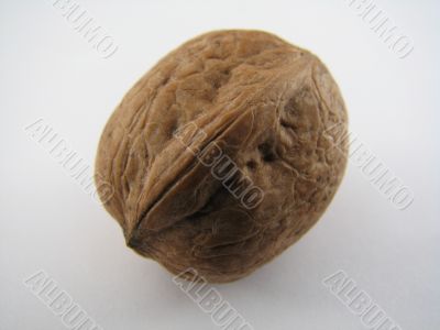 Closeup of walnut
