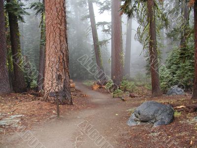 Sequoia and Kings Canyon National Park