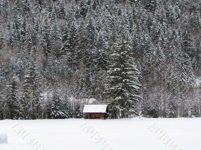 An old barn in winter