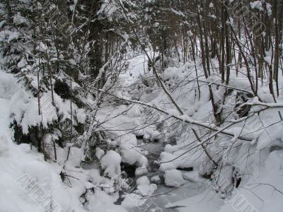 A snowy winter creek
