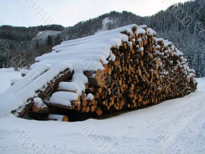 Snowy pile of wood