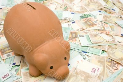 Piggy Bank on Banknotes