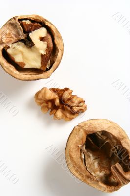 Nut Ingredient