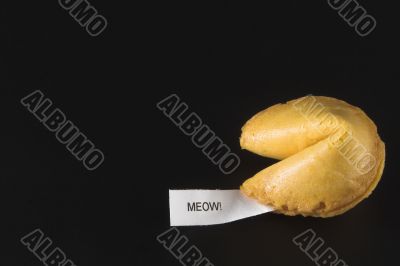 Fortune Cookie