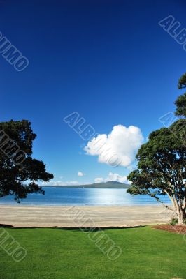 Rangitoto through the pohutakawas