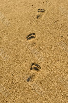 Steps on the beach