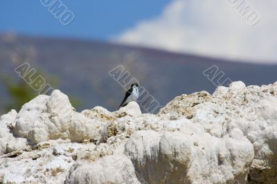 Tufa formations at Mono Lake