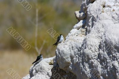 Tufa formations at Mono Lake