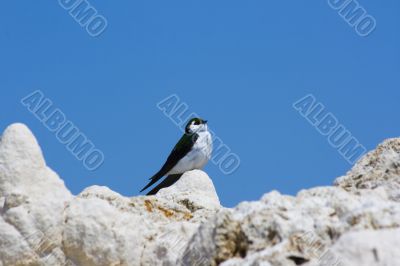 Tufa formations at Mono Lake