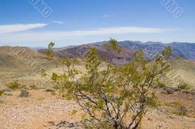 Death Valley in California