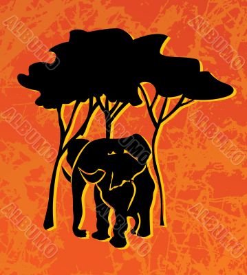elephant elephant
